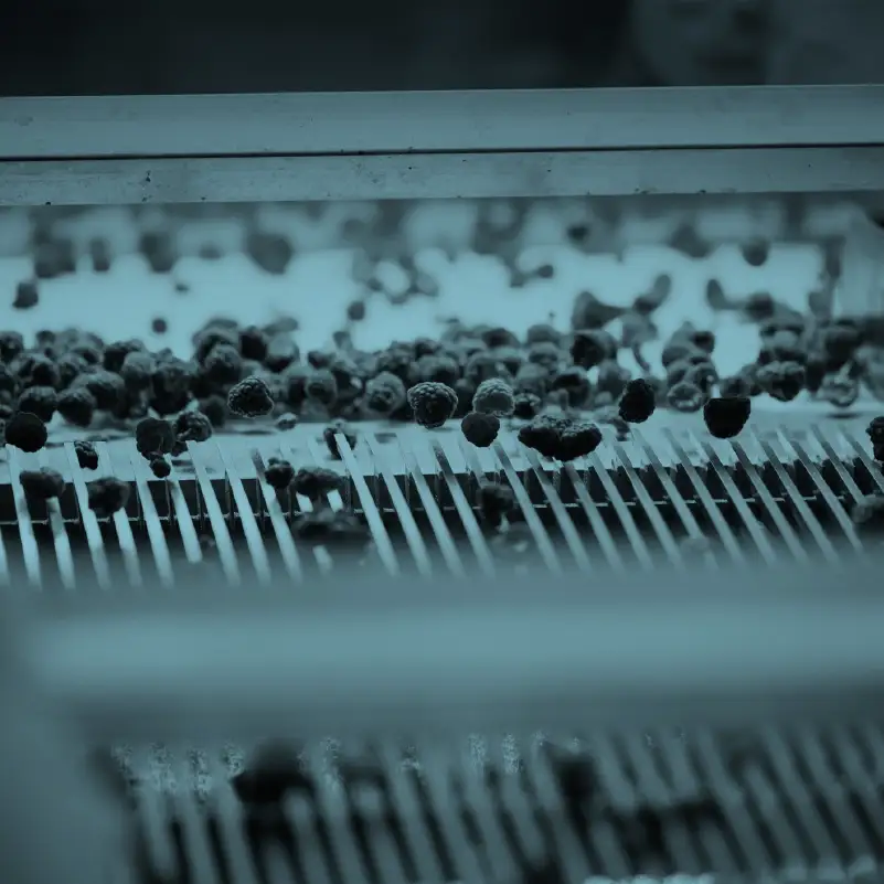 Grilles de filtration et d'essorage