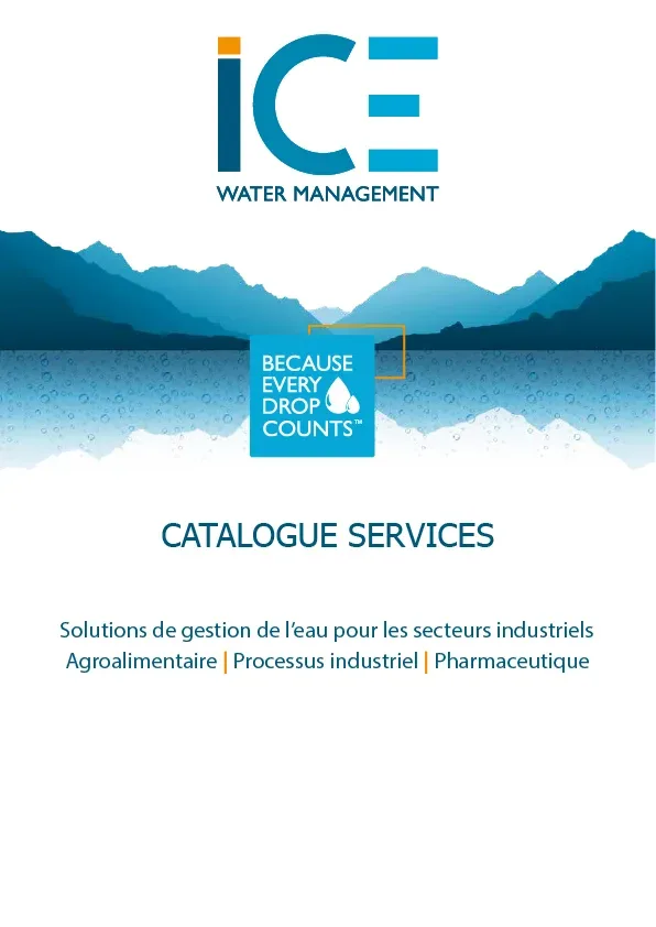 ice services   Direct Fabricant
